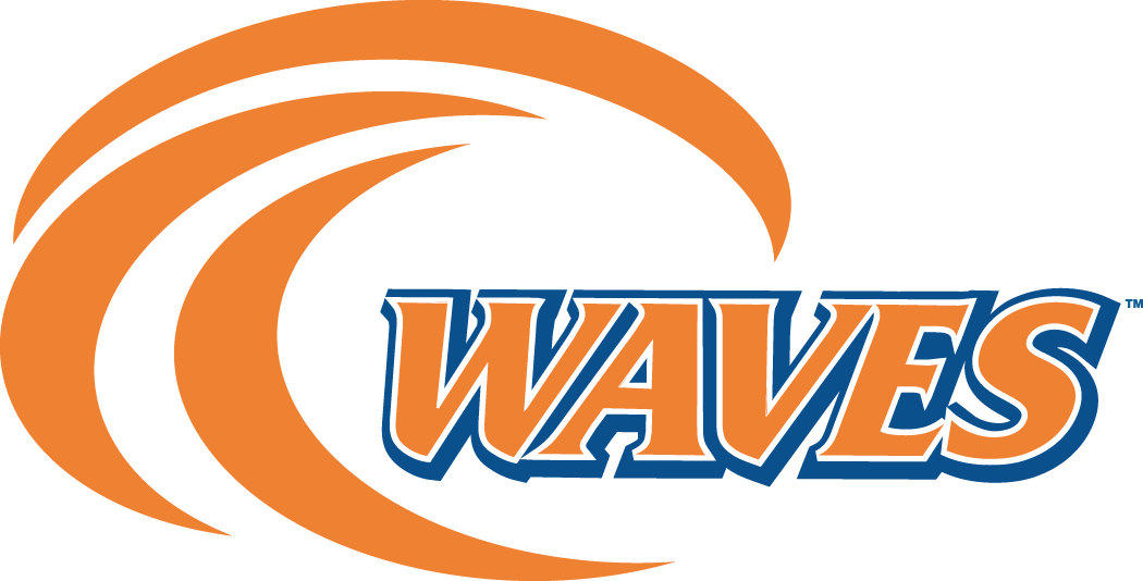 Pepperdine Waves 2004-Pres Alternate Logo iron on transfers for T-shirts